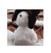 12172.png